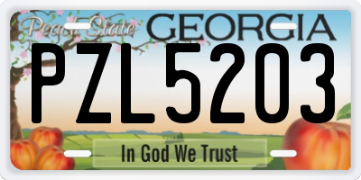 GA license plate PZL5203
