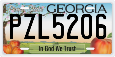 GA license plate PZL5206