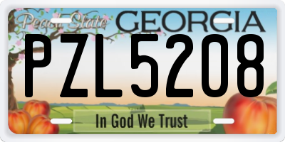 GA license plate PZL5208