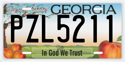 GA license plate PZL5211