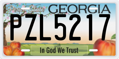 GA license plate PZL5217