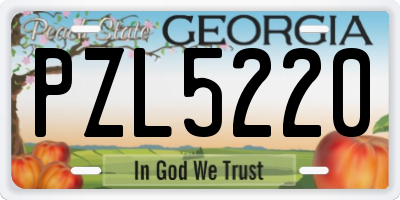 GA license plate PZL5220