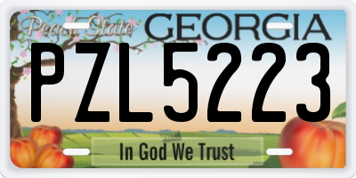 GA license plate PZL5223