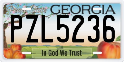 GA license plate PZL5236