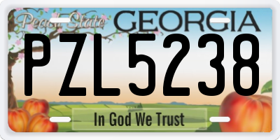 GA license plate PZL5238