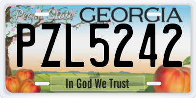 GA license plate PZL5242