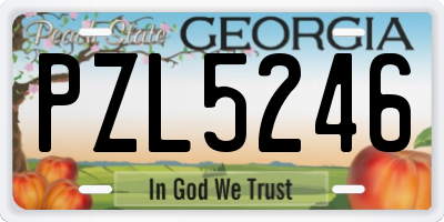 GA license plate PZL5246