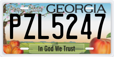 GA license plate PZL5247