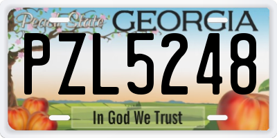 GA license plate PZL5248
