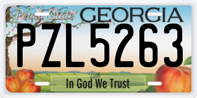 GA license plate PZL5263