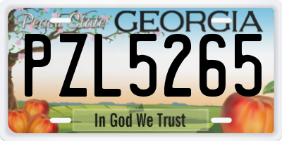 GA license plate PZL5265