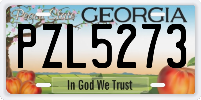 GA license plate PZL5273