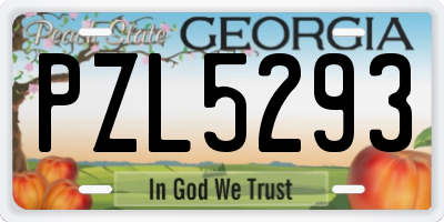 GA license plate PZL5293