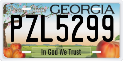 GA license plate PZL5299