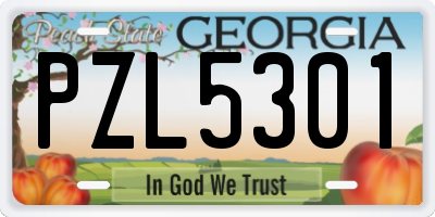 GA license plate PZL5301