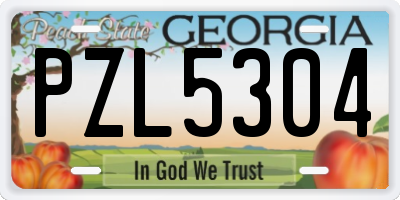 GA license plate PZL5304