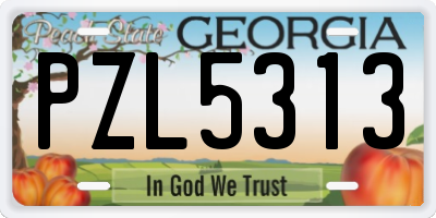 GA license plate PZL5313