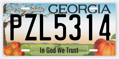 GA license plate PZL5314
