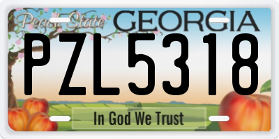 GA license plate PZL5318