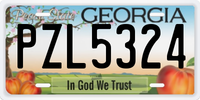 GA license plate PZL5324