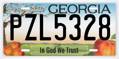 GA license plate PZL5328