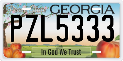 GA license plate PZL5333