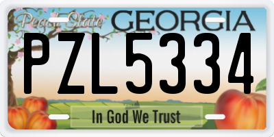 GA license plate PZL5334