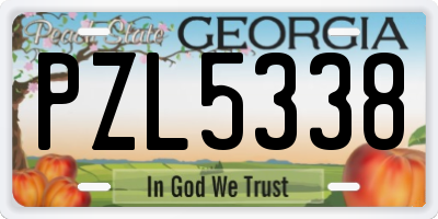 GA license plate PZL5338