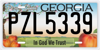 GA license plate PZL5339