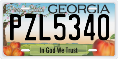 GA license plate PZL5340