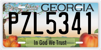 GA license plate PZL5341