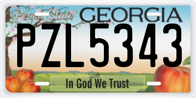 GA license plate PZL5343