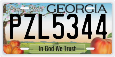 GA license plate PZL5344