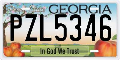 GA license plate PZL5346