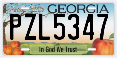 GA license plate PZL5347