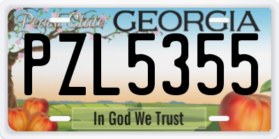 GA license plate PZL5355