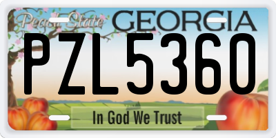 GA license plate PZL5360
