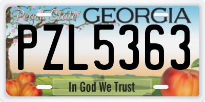 GA license plate PZL5363
