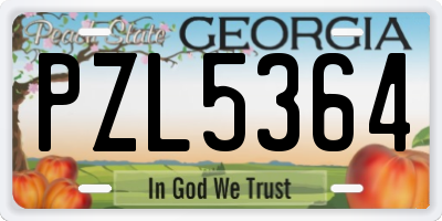 GA license plate PZL5364