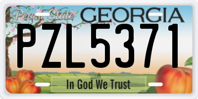 GA license plate PZL5371