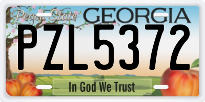 GA license plate PZL5372