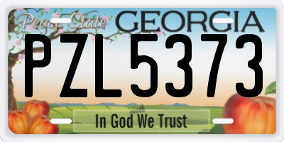 GA license plate PZL5373