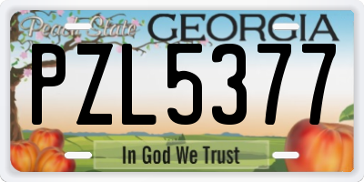 GA license plate PZL5377