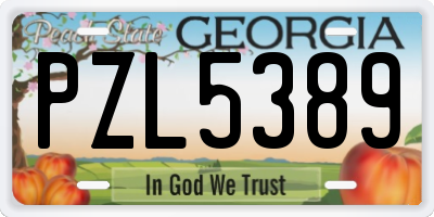 GA license plate PZL5389