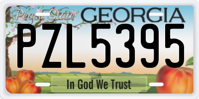 GA license plate PZL5395