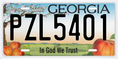 GA license plate PZL5401