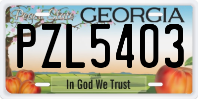 GA license plate PZL5403