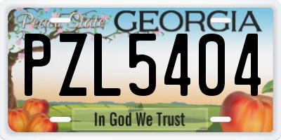 GA license plate PZL5404
