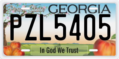 GA license plate PZL5405