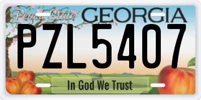 GA license plate PZL5407